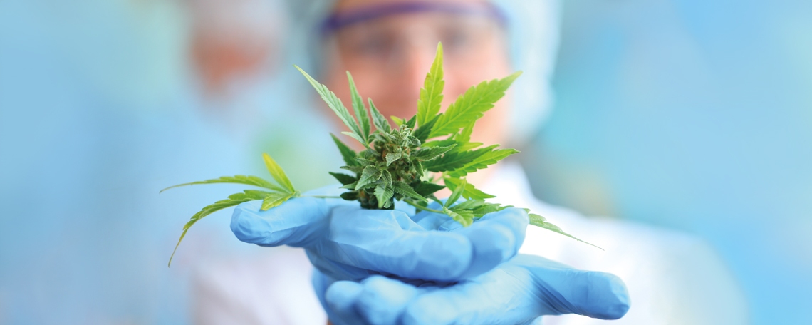 Manager Corporate Development (m/w/d), 2. Bild